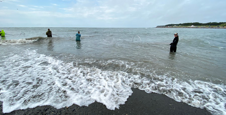 A small group wades into the shores of the Kenai River to dip net for salmon.